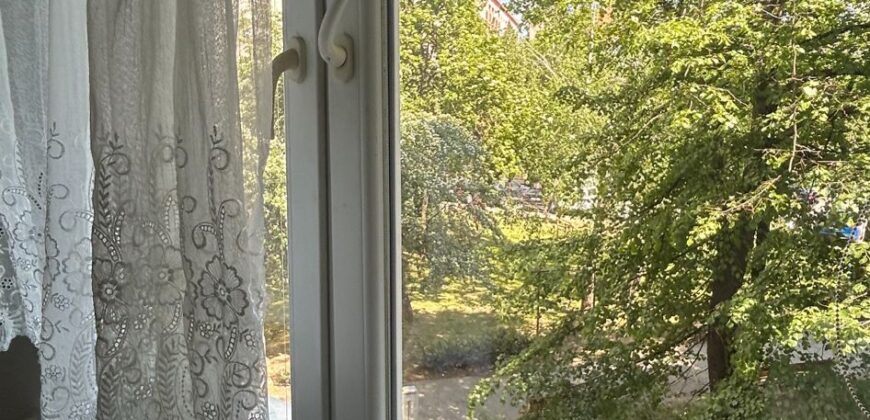 Garsonka pri Trnavskom mýte